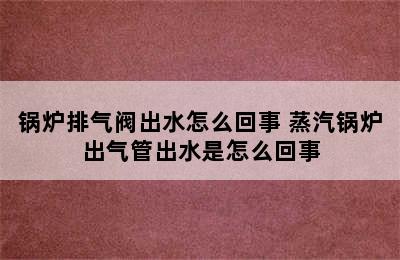 锅炉排气阀出水怎么回事 蒸汽锅炉出气管出水是怎么回事